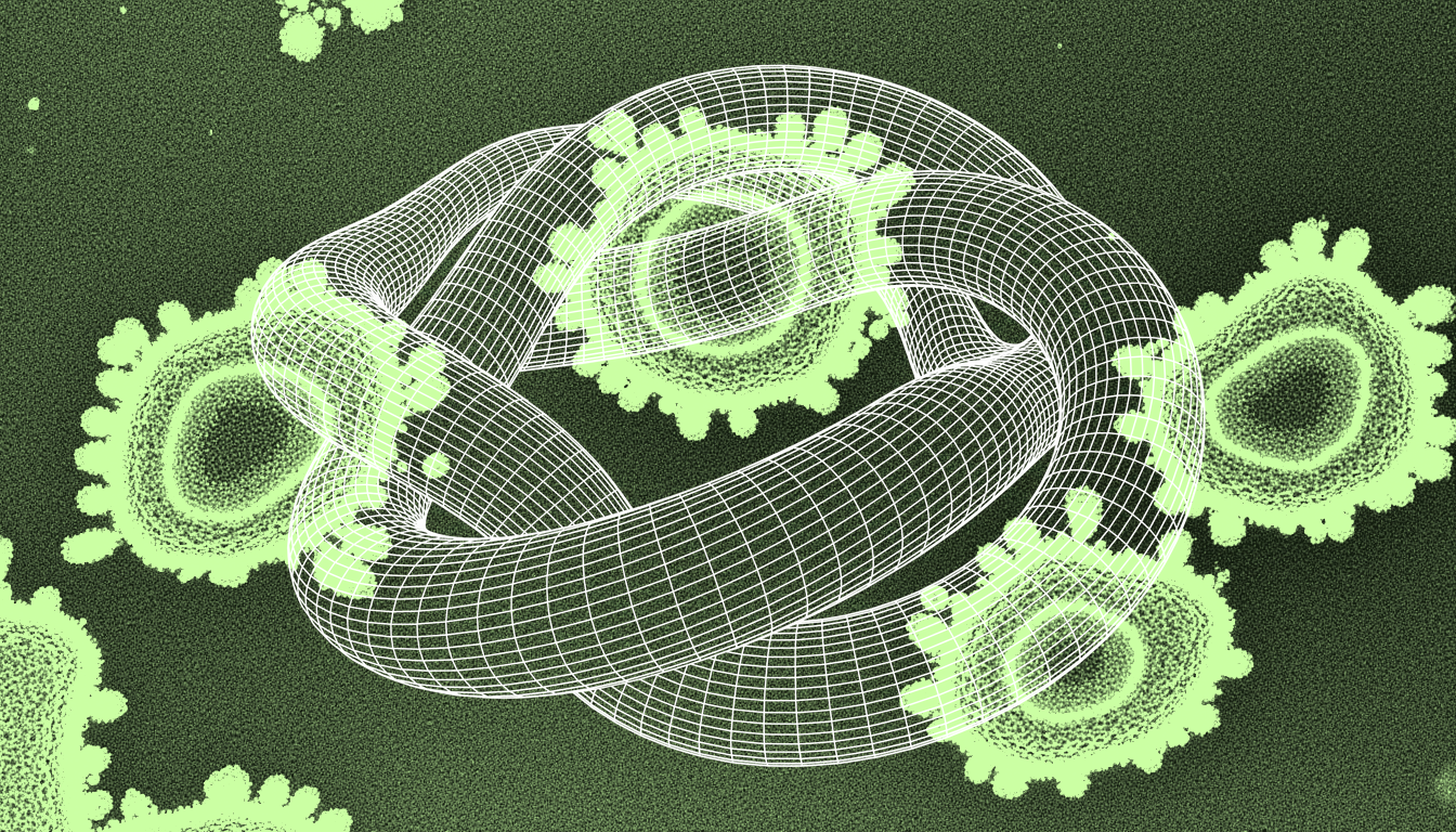 senescent cells with altered secretory granules, monochrome transmitted light, cytoplasmic remodeling detail