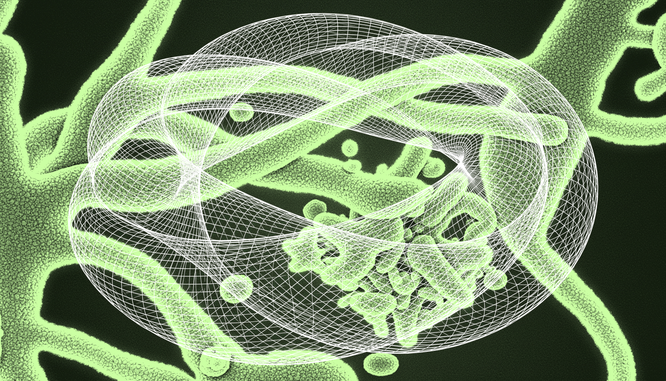 Nuclear lamina meshwork under mechanical stress, transmitted light micrograph, monochrome relief, enlarged nucleus with disrupted protein lattice structure