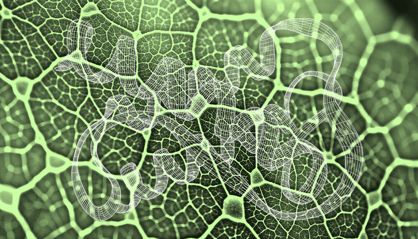 Molecular interface surface showing hydrogen bonding network and solvation shell around protein binding pocket, macro detail of atomic contact geometry and water coordination