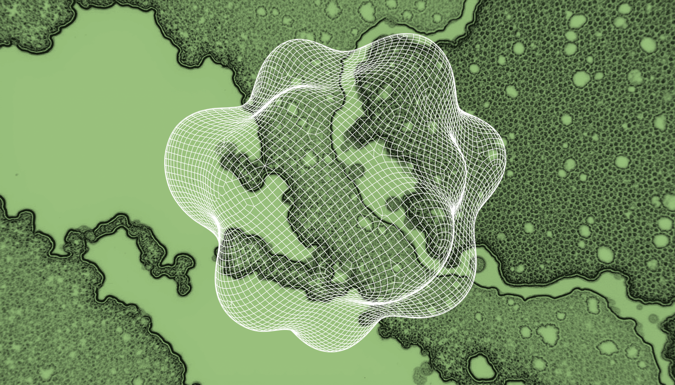 Primary cilium with depleted cholesterol-rich membrane domain, adjacent nucleus showing altered histone acetylation at enhancer regions, aged hepatocyte tissue context