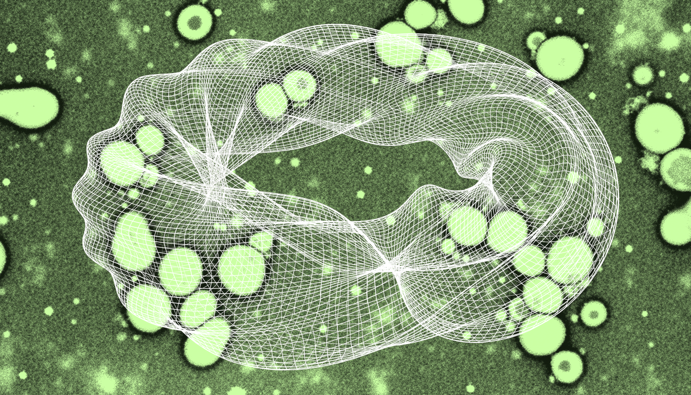 tissue stem cells undergoing selective apoptosis of damaged organelles, monochrome transmitted illumination, mitochondrial heterogeneity visible