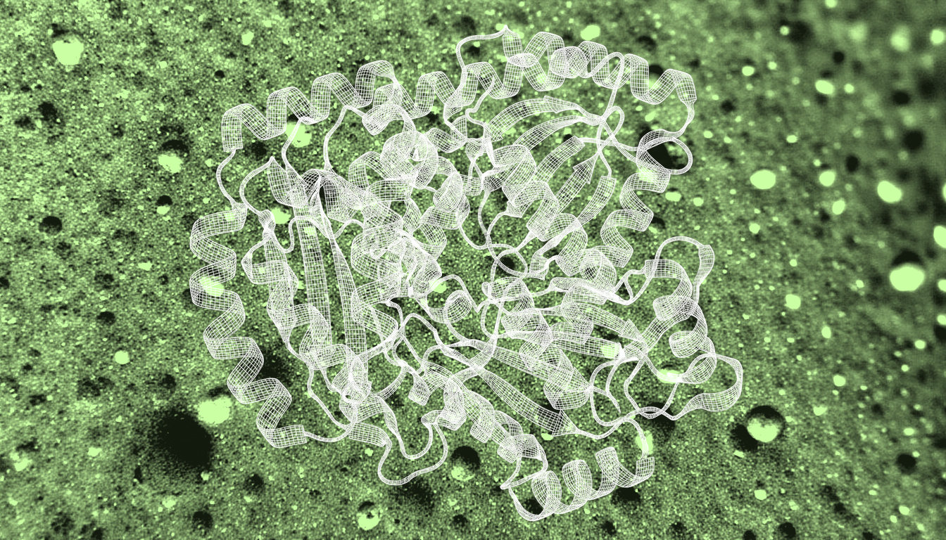 Macro close-up of cyclophilin D protein surface topology, solvent-exposed binding regions outside the catalytic pocket, fine molecular texture, diffuse light revealing surface contours