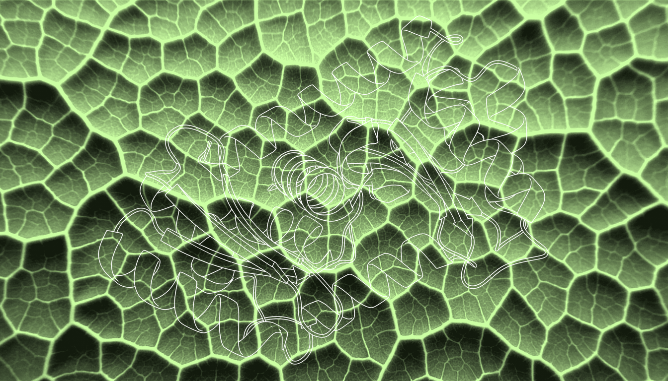 Macro close-up of protein surface topology with clustered amino acid residues, crystalline texture, soft diffuse light revealing molecular contours and binding interface geometry, naturalistic protein coloration