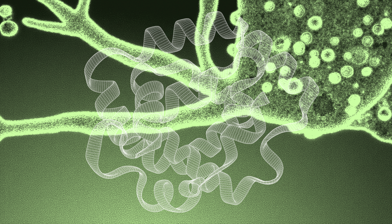 peptide disrupting α2δ-1 protein interaction in nerve tissue, monochrome blue transmission micrograph