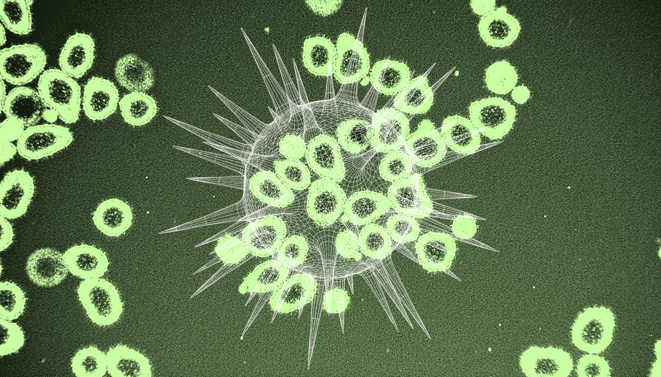 transmission electron micrograph of clustered immune cell nuclei, deep indigo stain, nuclear translocation of FOXO3 transcription factors