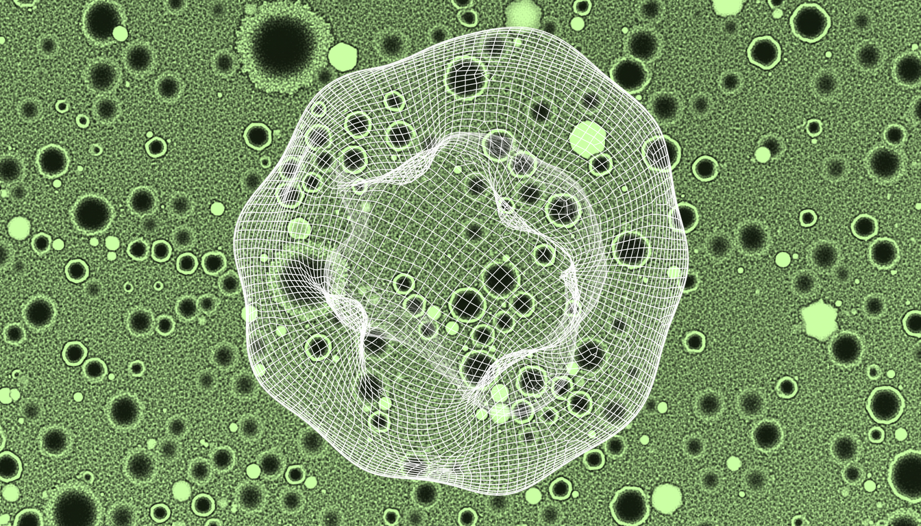 senescent cells undergoing redox collapse under thermal and sulfur amino acid restriction, monochrome phase-contrast micrograph, cytoplasmic granulation and membrane blebbing