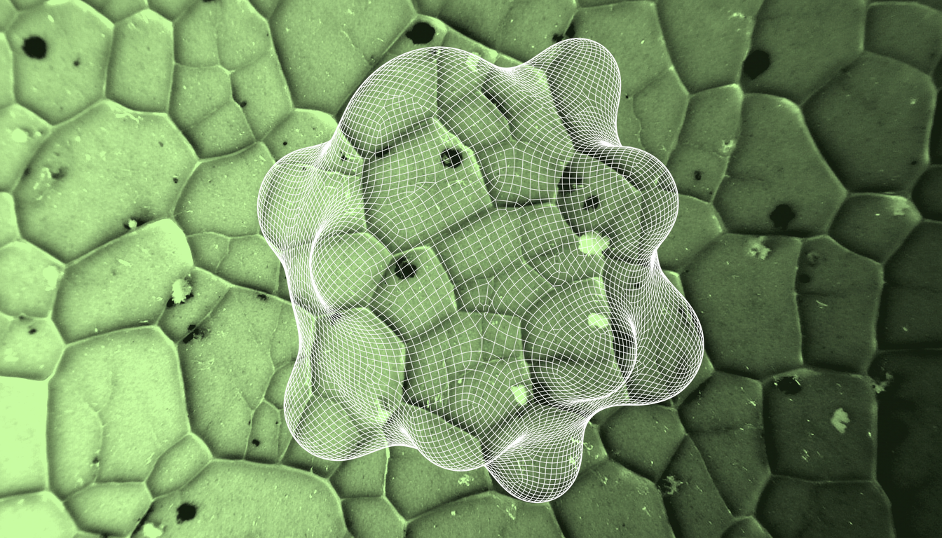 macro close-up of exosome vesicles, translucent membrane surface, intricate molecular textures, soft cellular lighting