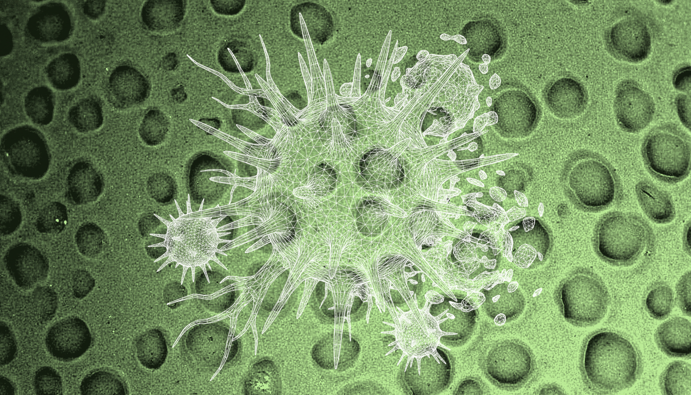 macro close-up of senescent decidual stromal cells, soft cellular texture, pale immunological surface, diffuse warm light