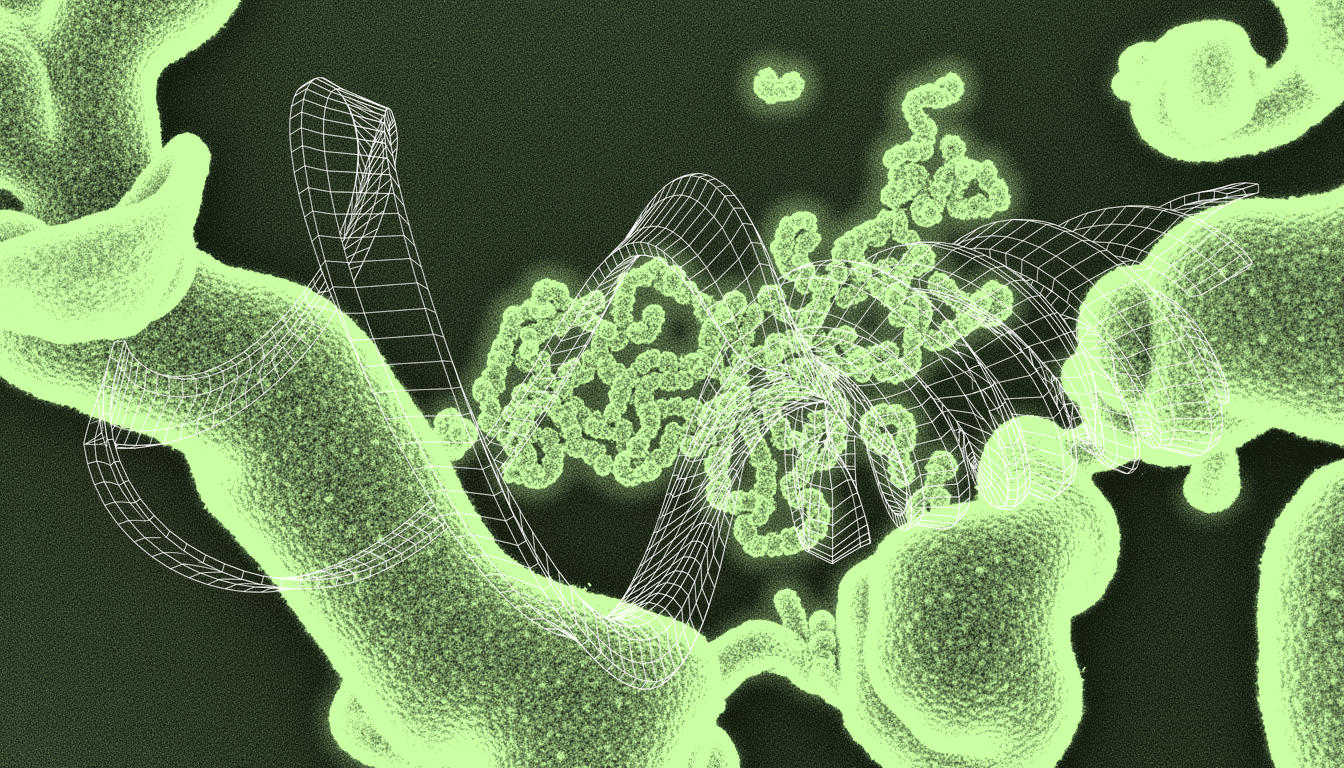 Polyubiquitin chains K63 and K48 linked on misfolded protein aggregates, monochrome phase-contrast, cellular compartment detail