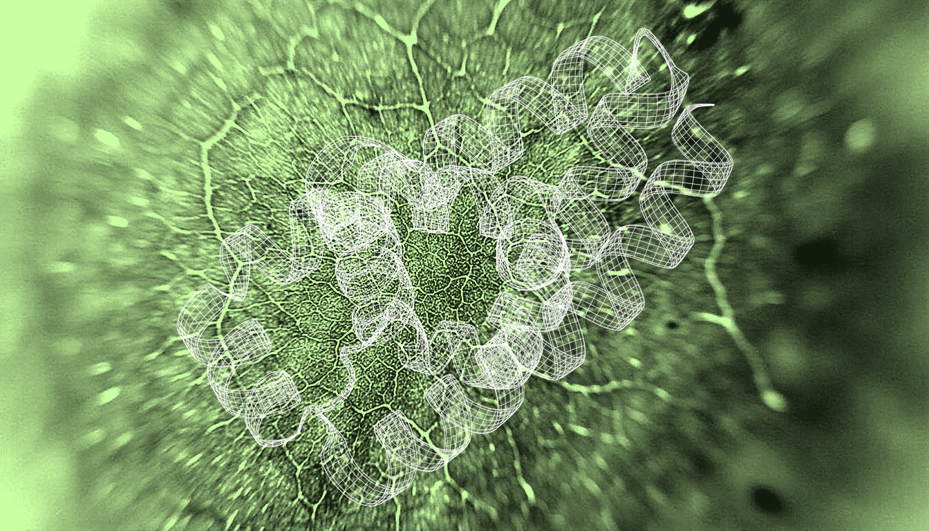 Macro close-up of protein surface texture showing subtle amino acid residue variations, fine molecular topography with diffuse light revealing N-terminal domain distinction, naturalistic protein fold detail