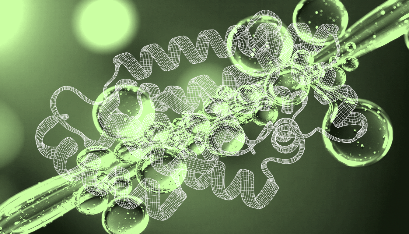 Translucent peptide molecules clustering around capillary-like fluid channels, soft amber backlight illuminating diffusion pathways, shallow depth of field with bokeh highlights suggesting molecular interaction and vascular network regeneration